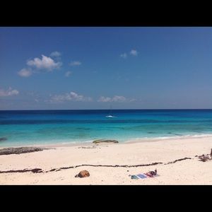 Meet your Posher, Terri